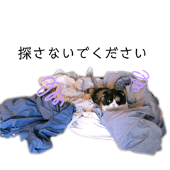 [LINEスタンプ] まんまる貴族