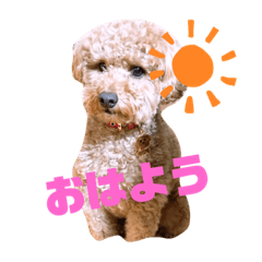 [LINEスタンプ] ぷー子のスタンプ