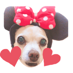 [LINEスタンプ] 雑種犬ラム