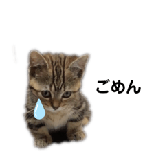 [LINEスタンプ] ムギの日常スタンプ