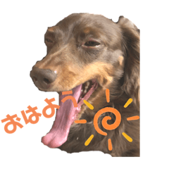 [LINEスタンプ] 毎日ちゅらちゃん♡
