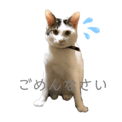 [LINEスタンプ] PONTA★
