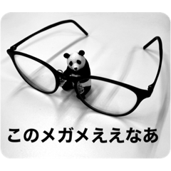 [LINEスタンプ] めがねパンダ