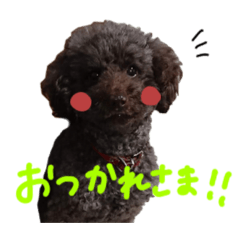 [LINEスタンプ] 小吉パラダイス