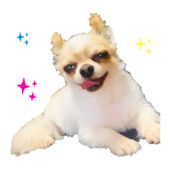 [LINEスタンプ] ルル★チー★くぅ