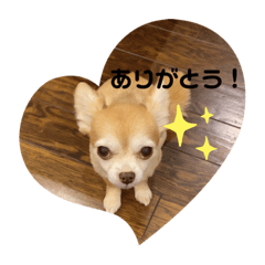 [LINEスタンプ] みゆ＆りー