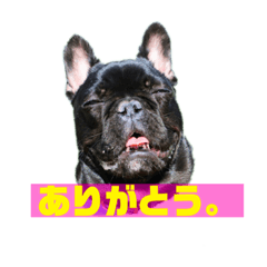 [LINEスタンプ] フレブルのデン2