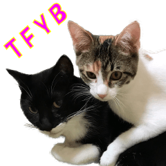 [LINEスタンプ] トーフとゆば