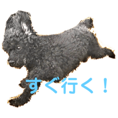 [LINEスタンプ] ボクの名前はかふぇ