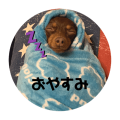 [LINEスタンプ] mix犬ララの巻
