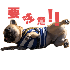 [LINEスタンプ] だいちゃんんん2