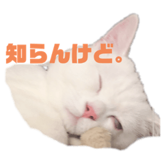 [LINEスタンプ] 私による私の為だけの推しスタ
