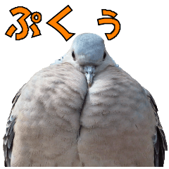 [LINEスタンプ] 鳥会話 1