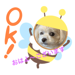 [LINEスタンプ] おはよ〜色々