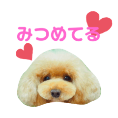 [LINEスタンプ] ぼくだよ〜