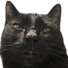 [LINEスタンプ] 毒舌黒猫ルナ