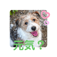 [LINEスタンプ] love☆ジャック4