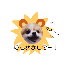 [LINEスタンプ] 虎鉄と辰