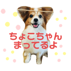 [LINEスタンプ] ちょったん