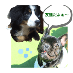 [LINEスタンプ] フレブルのデンです