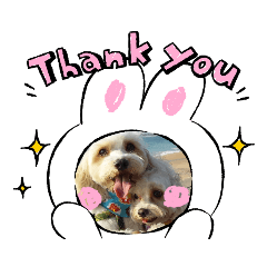 [LINEスタンプ] あさdog