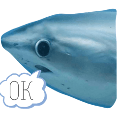[LINEスタンプ] 夢のコラボ
