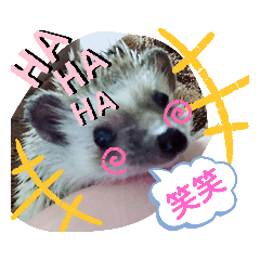 [LINEスタンプ] ハリネズミのツナオ