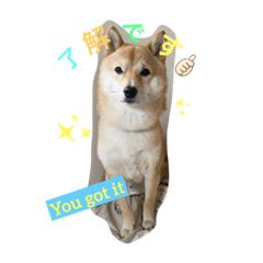 [LINEスタンプ] renchan2