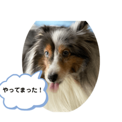 [LINEスタンプ] まりんの1日Ver.3