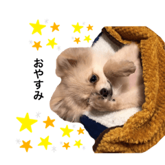 [LINEスタンプ] くまちゃんの日記