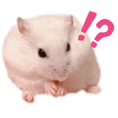 [LINEスタンプ] ハムズハムズ
