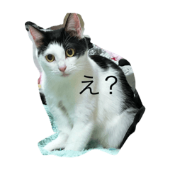 [LINEスタンプ] たかぽんちい
