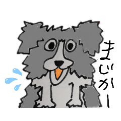 [LINEスタンプ] 呑気なボーダーコリー、あすくん