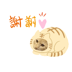 [LINEスタンプ] わらびと愉快な仲間たち！！