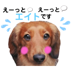 [LINEスタンプ] えーっとえーっとエイトくん