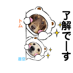 [LINEスタンプ] 可愛い兄弟トムくん＆蒼空くん