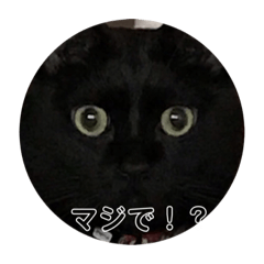 [LINEスタンプ] こまちゃん＆まりもんスタンプリ〜やばみ〜