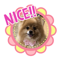 [LINEスタンプ] ポメまりん