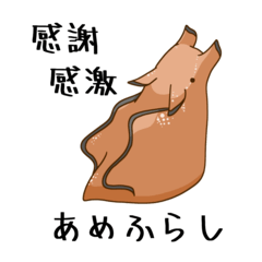 [LINEスタンプ] 毎日の海洋生物