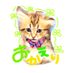 [LINEスタンプ] バロンスタンプ☆！