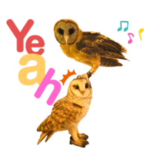 [LINEスタンプ] ブラウニーと3匹のネコ
