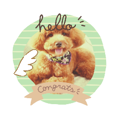 [LINEスタンプ] yuma_yuma2