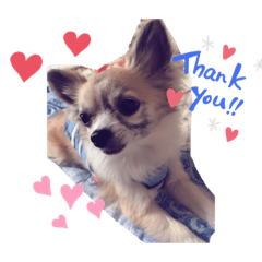 [LINEスタンプ] MY Dog(*´ω｀*)