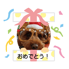 [LINEスタンプ] ぷーどるわん