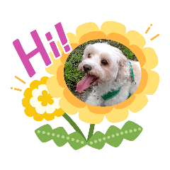 [LINEスタンプ] あさdog2