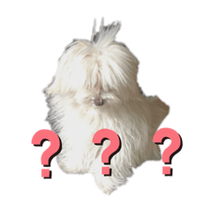 [LINEスタンプ] 僕、ハル。