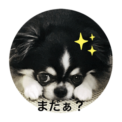 [LINEスタンプ] よっつん1