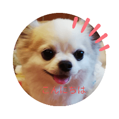 [LINEスタンプ] チョッパー、まるのスタンプ