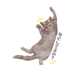 [LINEスタンプ] ラテごん