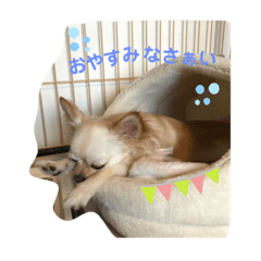 [LINEスタンプ] りぃさく